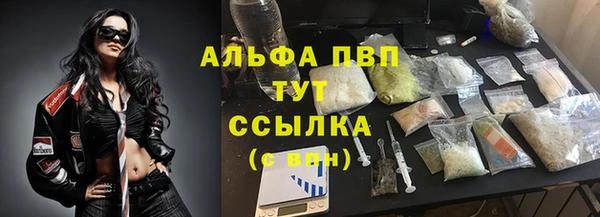 бошки Верея
