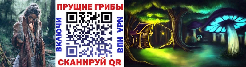 Галлюциногенные грибы MAGIC MUSHROOMS  Каргат 