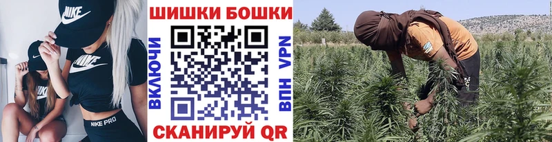 где можно купить наркотик  Каргат  гидра как зайти  Каннабис марихуана 